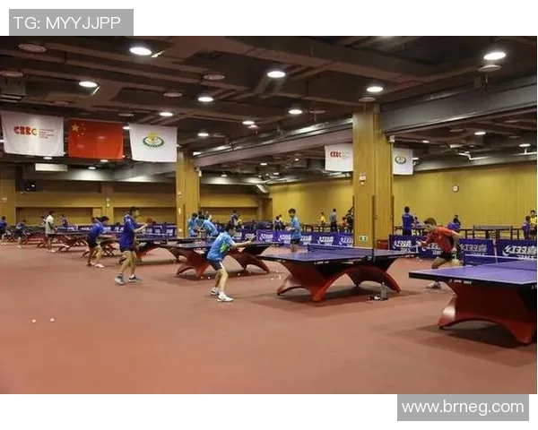 深圳乒乓球队的节奏与风采探讨：聚焦乒乓球的魅力与发展